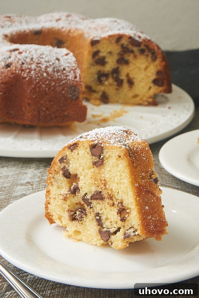 A single slice of Chocolate Chip Muffin Cake, showing its moist interior and chocolate chips, with a delicate dusting of powdered sugar.
