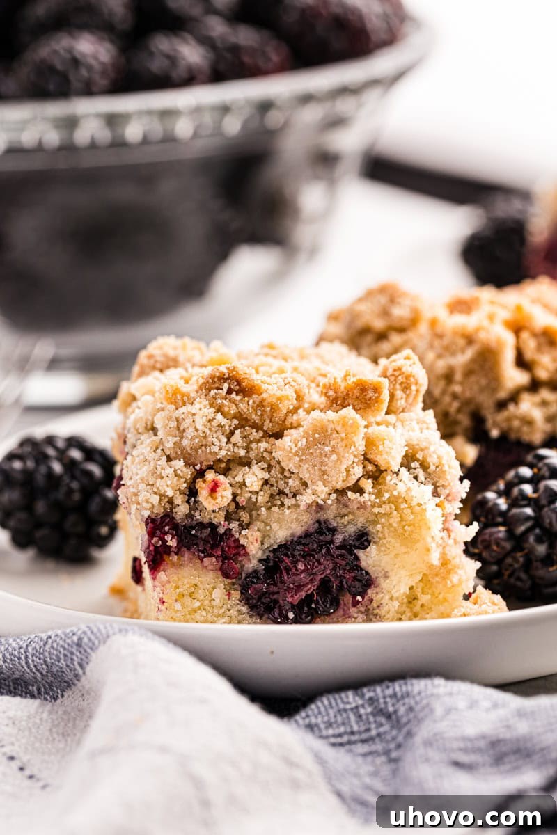 Close-up view of a freshly baked blackberry crumb bar, showcasing its golden crumb topping, juicy blackberry filling, and sturdy base, served on a white plate with a bowl of fresh blackberries in the background. This easy dessert bar recipe is perfect for summer.
