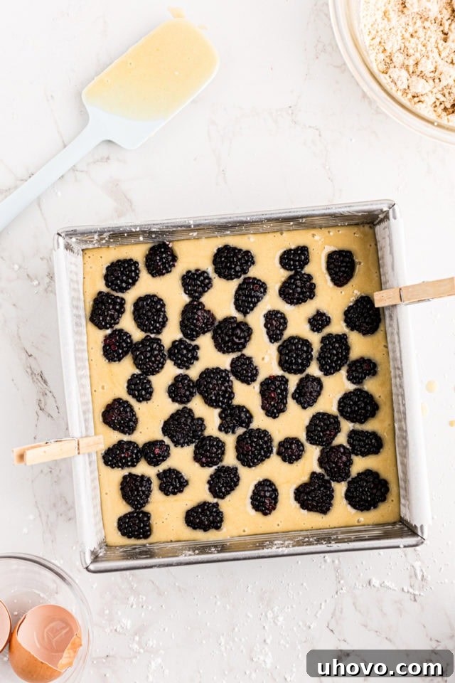 Overhead view of fresh blackberries being generously sprinkled over the batter in a square baking pan, preparing the blackberry crumb bars for baking.