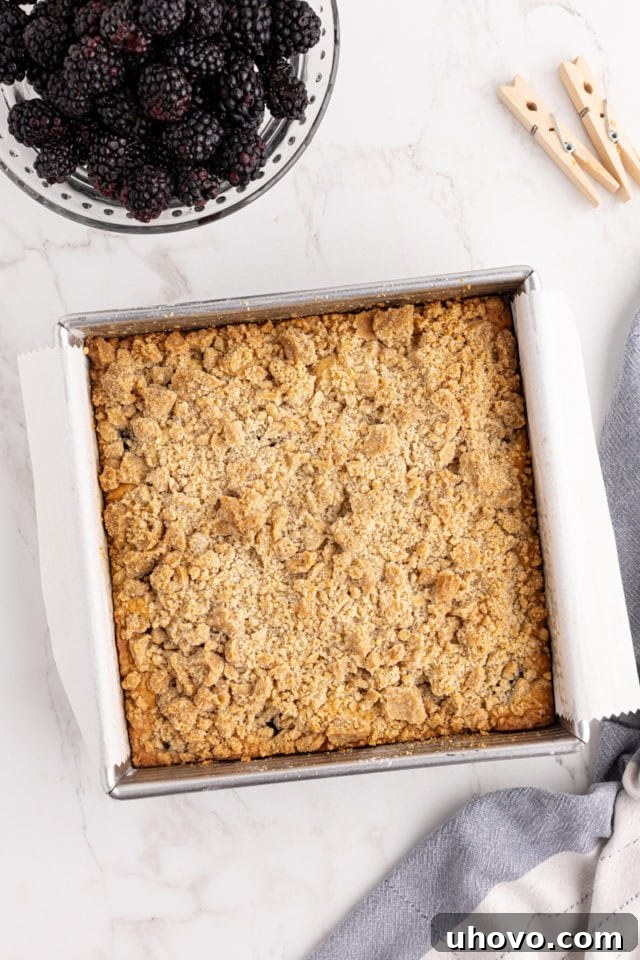 Overhead view of freshly baked blackberry crumb bars in a square baking pan, golden brown and bubbling, indicating they are ready to cool.