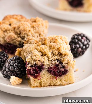 Two blackberry crumb bars elegantly displayed on a white plate, showcasing their perfect layers and golden topping.
