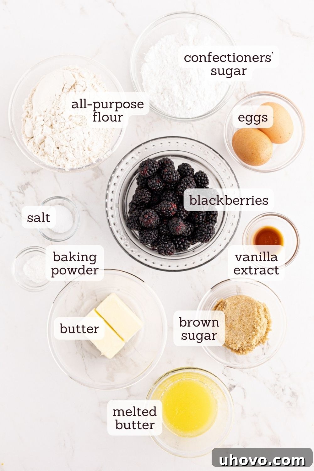 Overhead view of various ingredients laid out on a clean surface, ready for making blackberry crumb bars. Ingredients include fresh blackberries, bowls of flour, brown sugar, confectioners' sugar, sticks of butter, eggs, and vanilla extract.