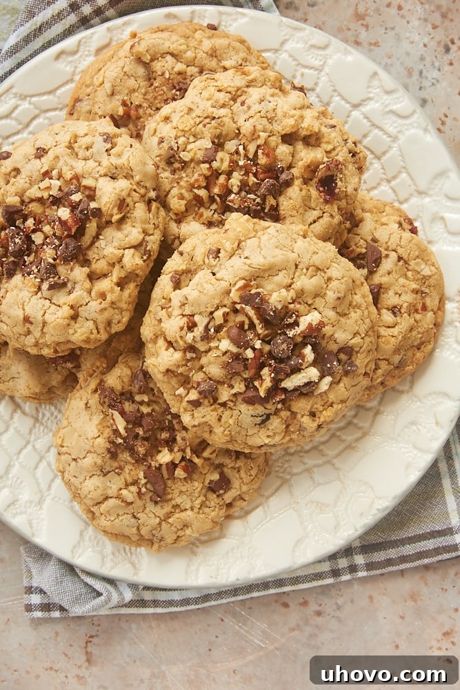 A close-up shot of a single Cookie Butter-Stuffed Oatmeal Cookie on a textured white plate, highlighting its rich, inviting surface.