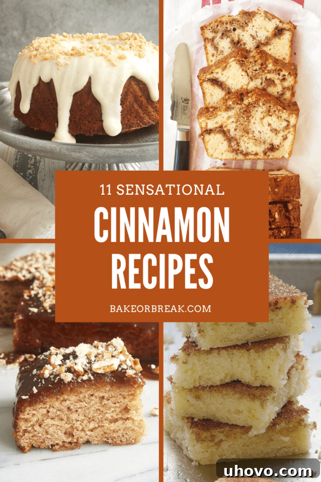 A vibrant collage featuring various delectable cinnamon treats, including cakes, cookies, and rolls, tempting you to bake.