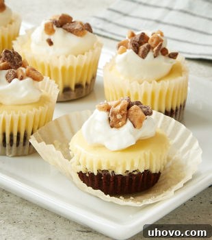 A side view of a Brownie Bottom Mini Cheesecake with its distinct layers, showcasing the fudgy brownie and smooth cheesecake, on a white tray.