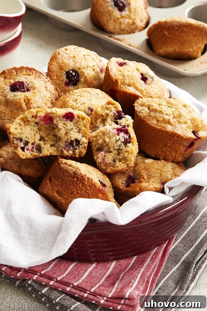 A close-up shot of several Cranberry Orange Muffins arranged in a red dish, showing their perfect golden-brown tops and moist interior.