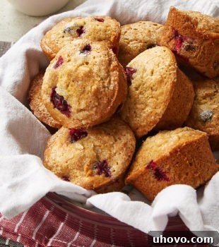 Cranberry Orange Muffins in a round red dish