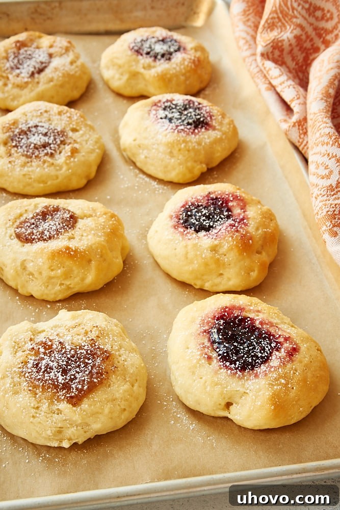 Assorted fruit-filled kolaches on a baking sheet, with a light dusting of powdered sugar