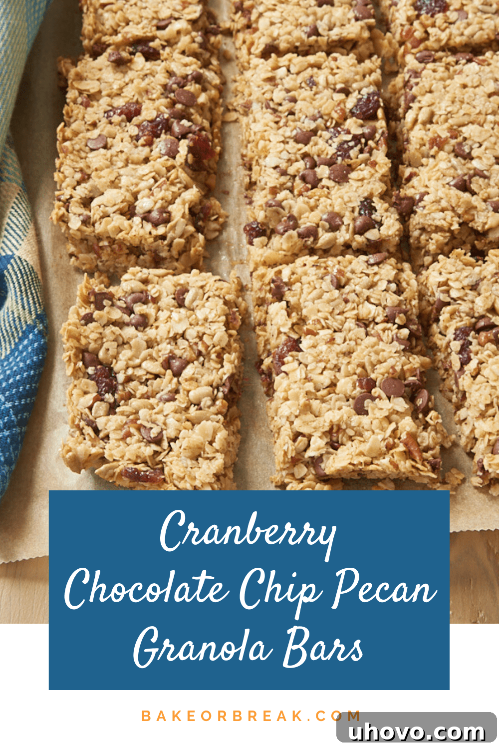 Cranberry Chocolate Chip Pecan Granola Bars - Pinterest Banner