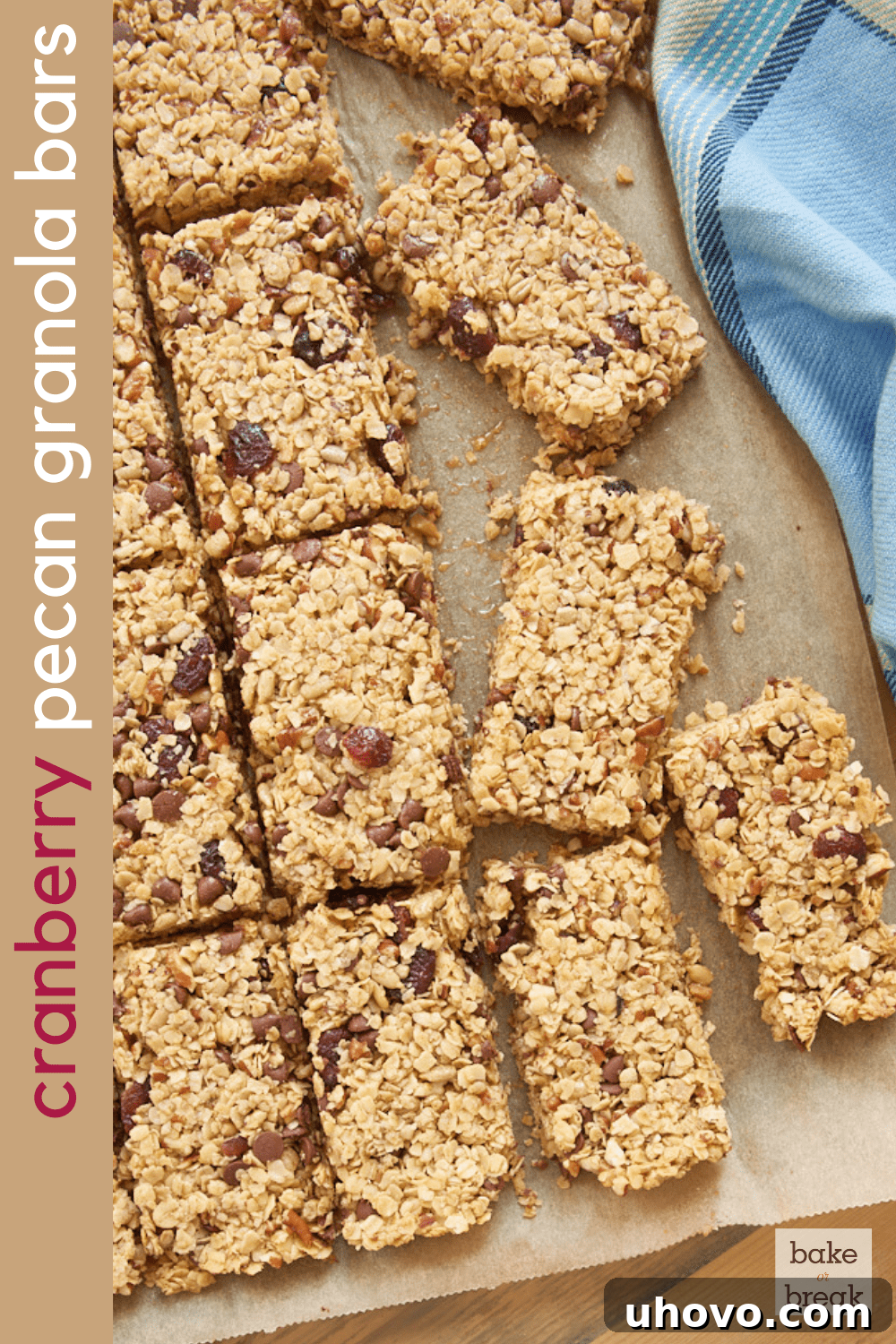 Cranberry Chocolate Chip Pecan Granola Bars - Social Share Image