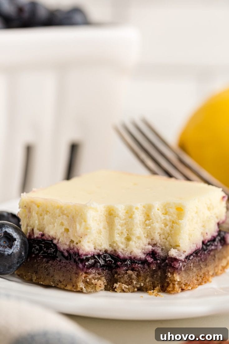 Lemon Blueberry Cheesecake Bars