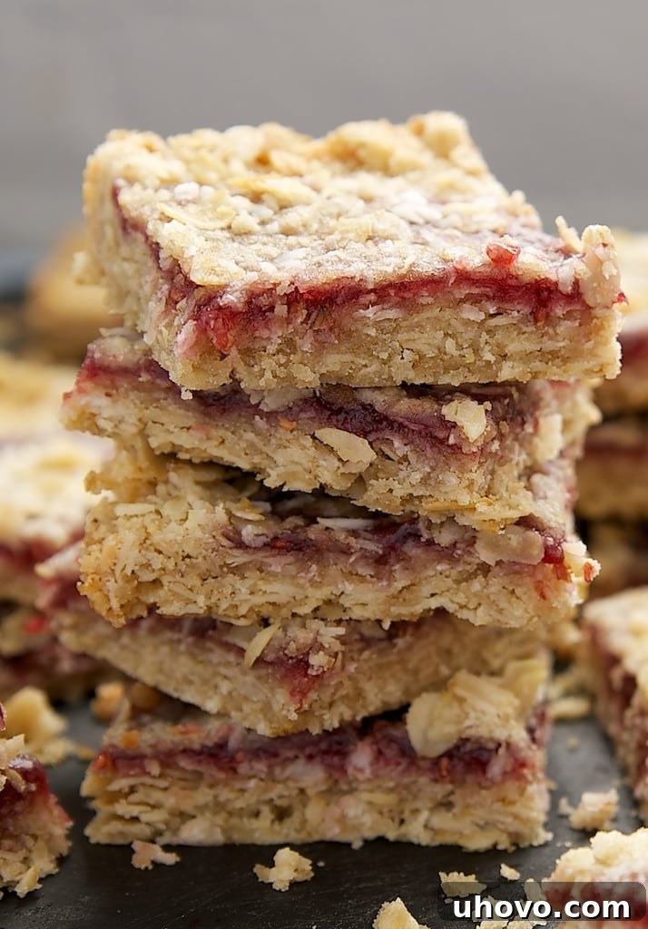 Raspberry Coconut Oat Bars