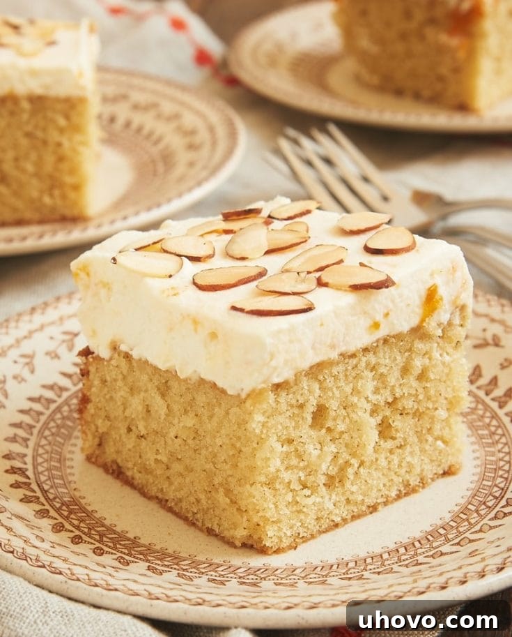 Brown Butter Almond Cake with Apricot Whipped Cream