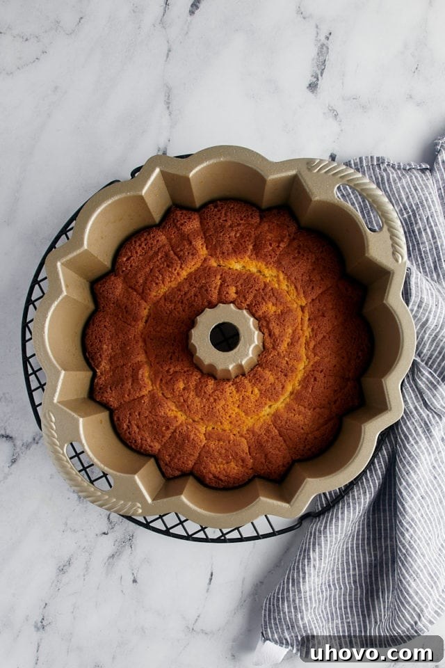A freshly baked Black Cherry Sour Cream Coffee Cake still in its Bundt pan, cooling gently on a wire rack.