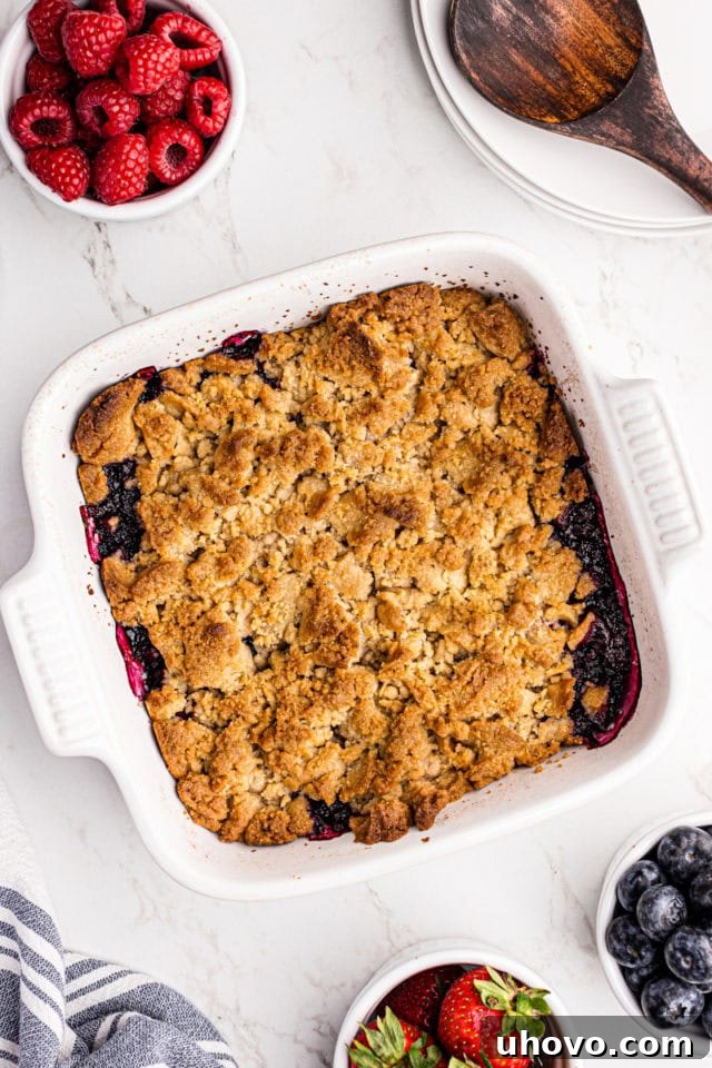 A freshly baked mixed berry cobbler in a baking dish, boasting a golden-brown, bubbly top and vibrant fruit peeking through.