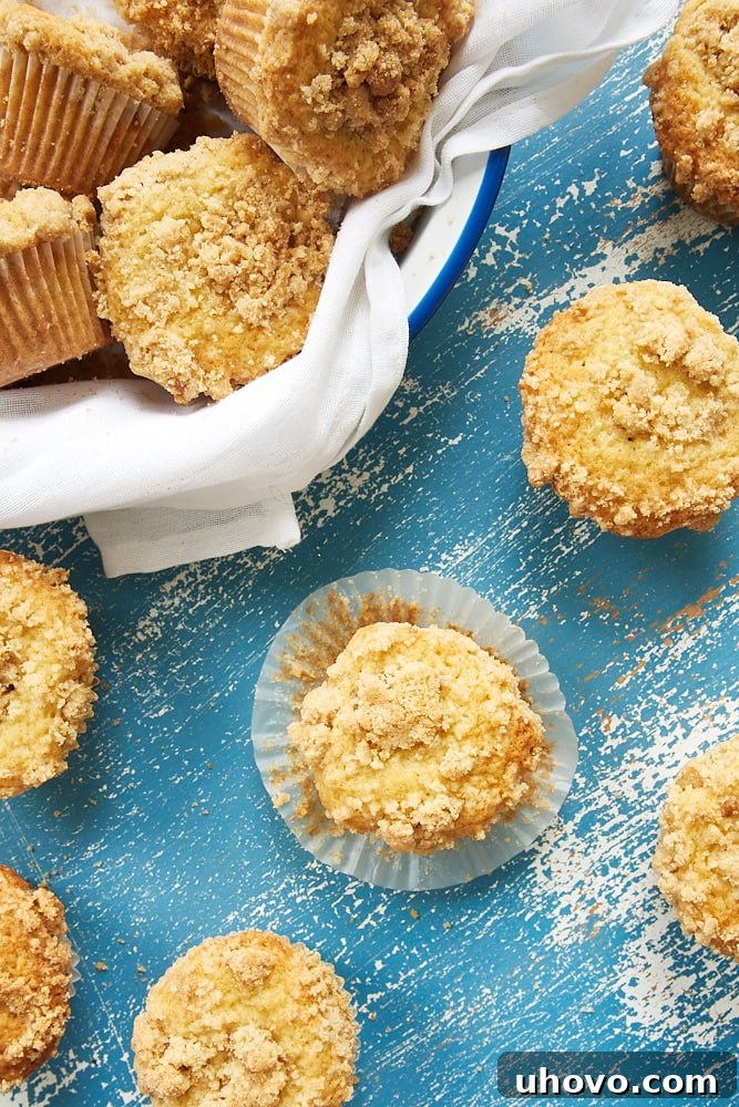 Vanilla Crumb Muffins on a scarred blue surface, showing the tops clearly.