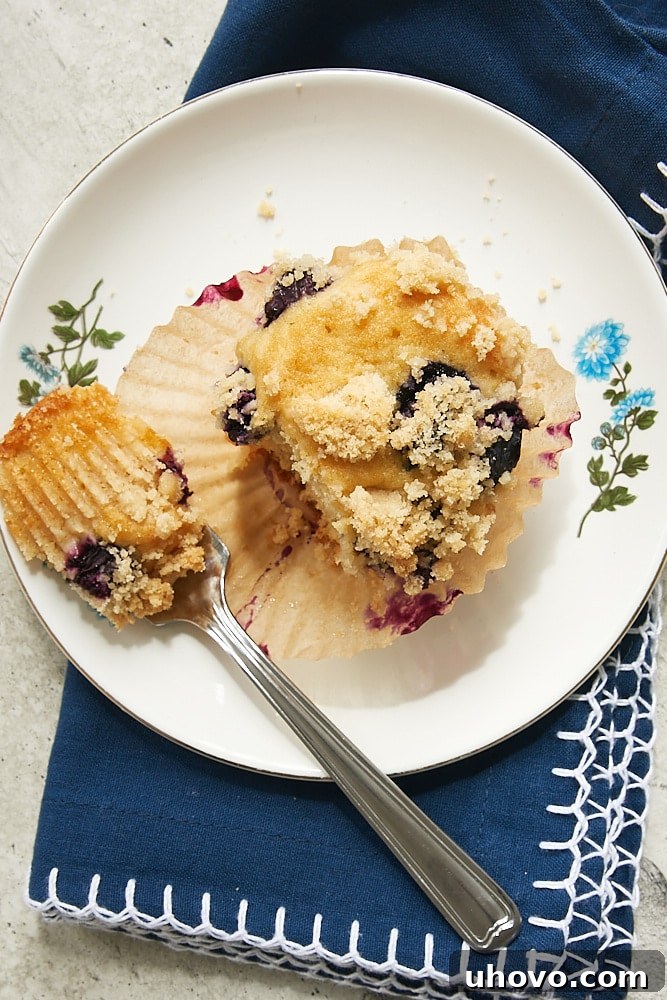 A single delectable blueberry coffee cake muffin on a white plate with a blue floral rim, showcasing its soft texture and generous crumb topping.