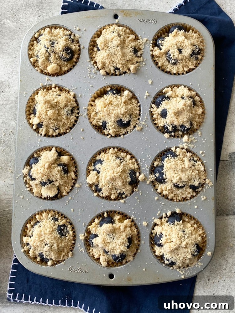 Freshly prepared blueberry coffee cake muffins, ready for baking in a muffin pan with generous crumb topping.
