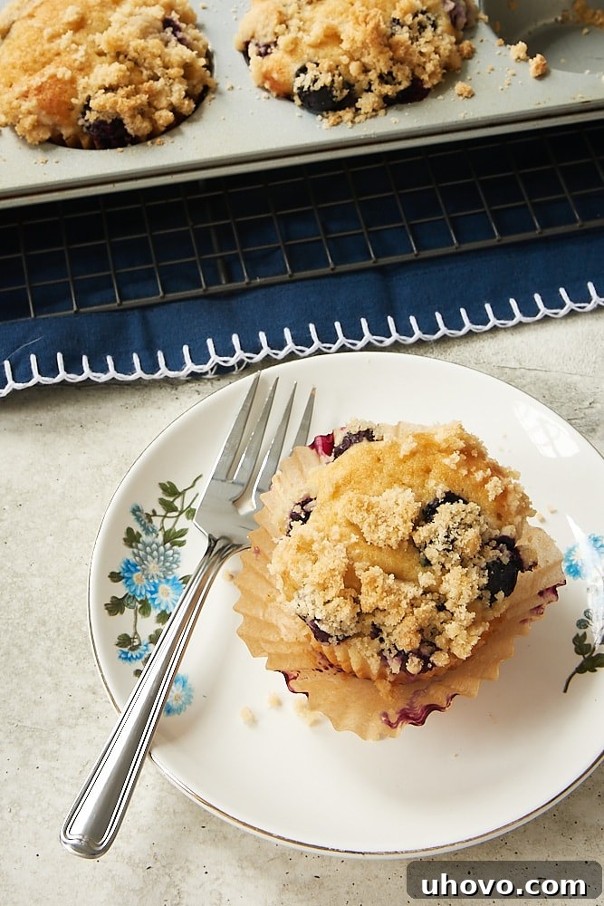 A close-up of a blueberry coffee cake muffin on a decorative blue plate, with more muffins visible in the pan in the background, ready for enjoyment.