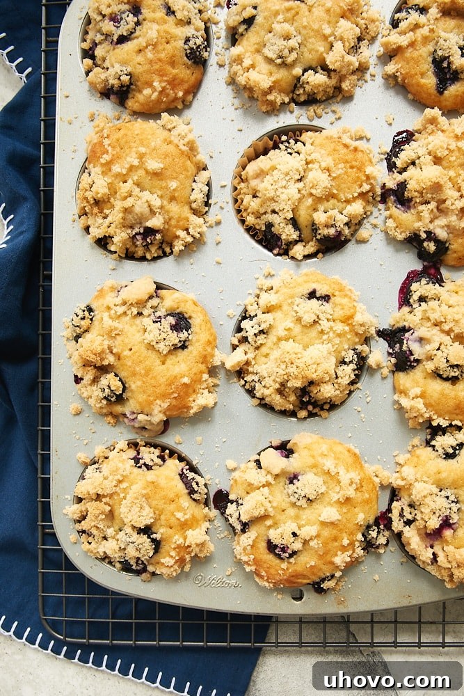 Homemade Blueberry Coffee Cake Muffins cooling in a baking pan, fresh from the oven, with a delightful crumb topping.