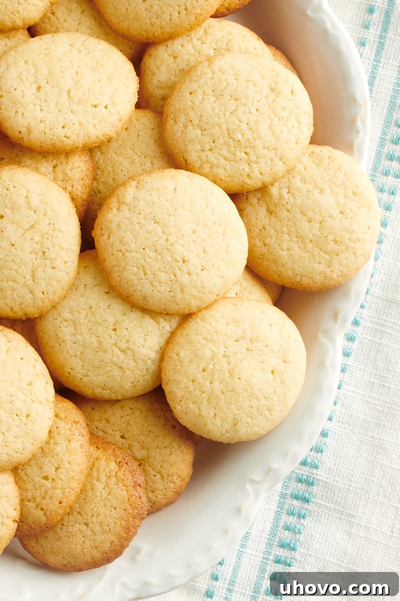 An overhead view of golden-brown homemade vanilla wafers elegantly arranged on a white serving platter, ready to be enjoyed.