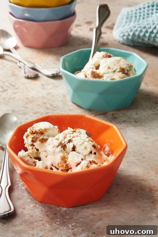 No-Churn Dulce de Leche Biscoff Ice Cream served in colorful bowls, garnished with extra cookie crumbs