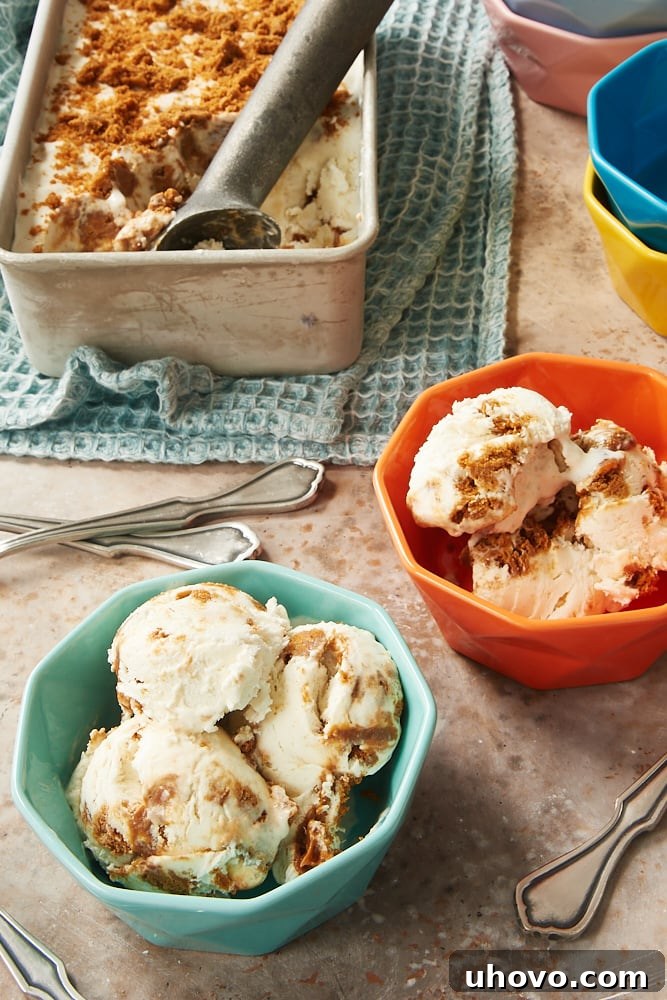 bowls of No-Churn Dulce de Leche Biscoff Ice Cream with a metal pan of remaining ice cream in the background, showing its beautiful swirl