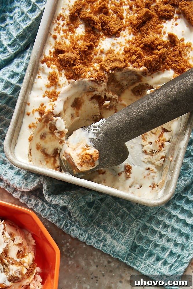 overhead view of No-Churn Dulce de Leche Biscoff Ice Cream in a metal loaf pan