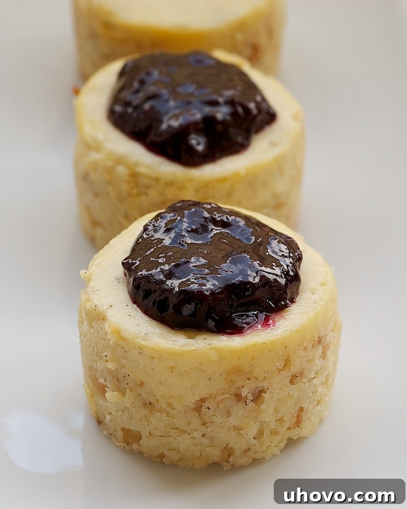 Vanilla Bean Mini Cheesecakes feature a toasted coconut crust, sweet, vanilla cheesecake, and a fresh blueberry sauce. - Bake or Break