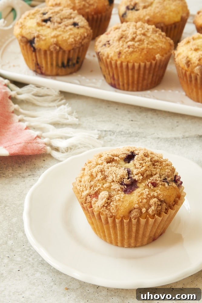 A single Berry Cheesecake Muffin resting on a white plate, revealing its golden-brown exterior, crumb topping, and the juicy berries within, promising a delightful treat.