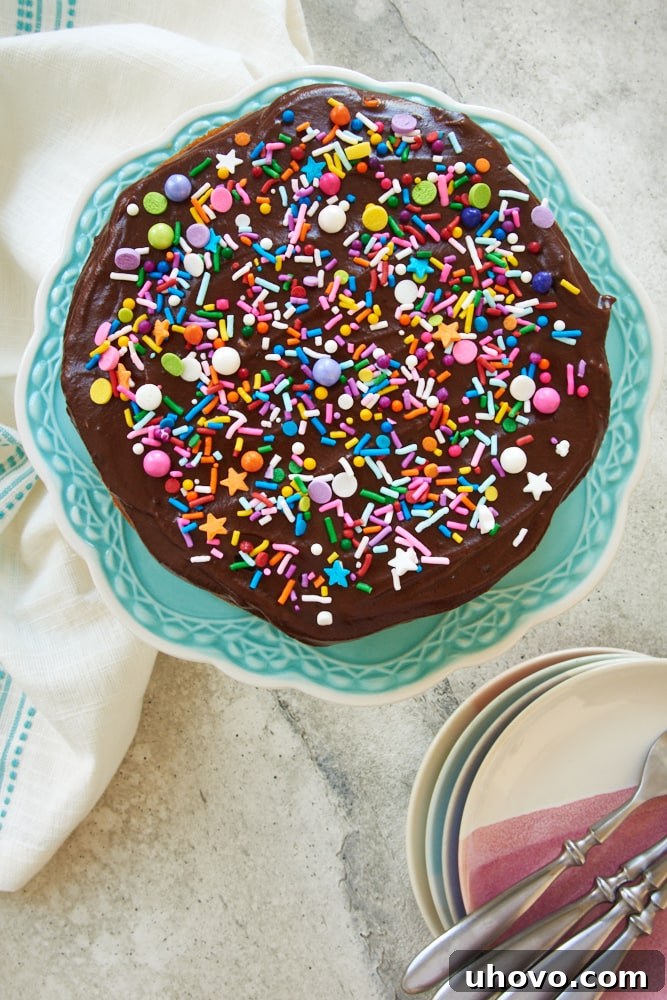 Overhead view of a mini yellow cake with chocolate frosting, ready for serving