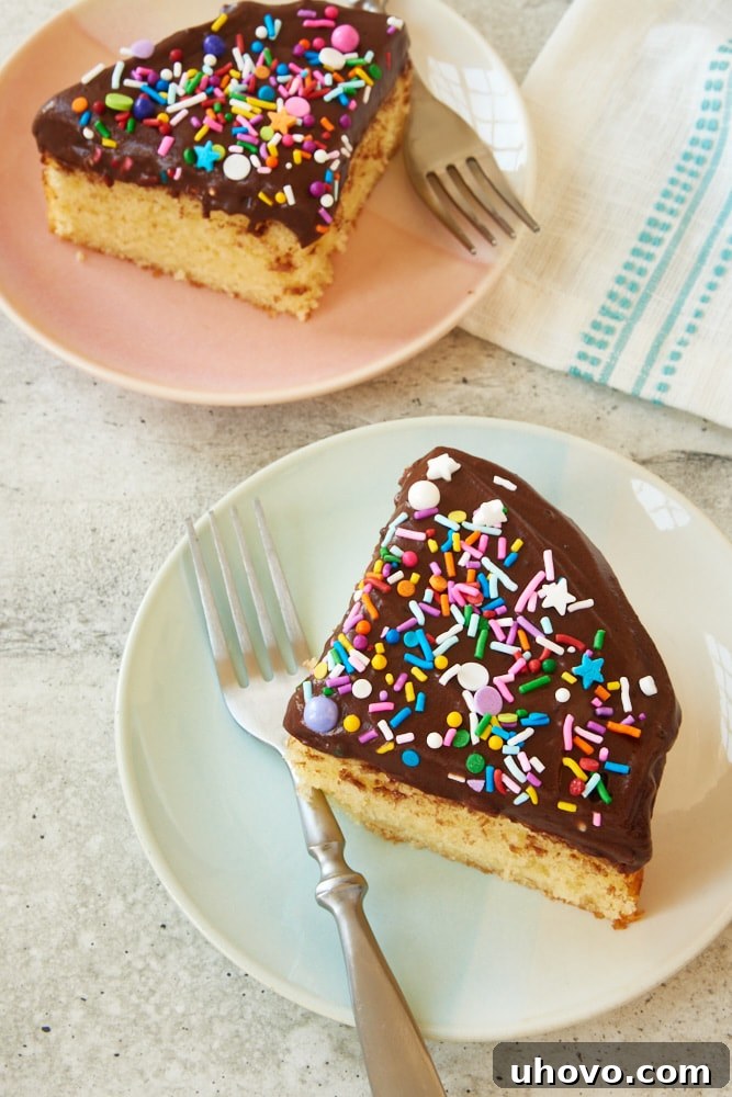 two slices of 6-Inch Yellow Cake with chocolate frosting on colorful plates, invitingly presented