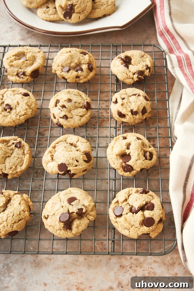 Freshly baked Rye Chocolate Chip Cookies cooling on a wire rack, showcasing their golden-brown edges and inviting, chewy centers. The warmth of the cookies creates a gentle steam, promising a melt-in-your-mouth experience.