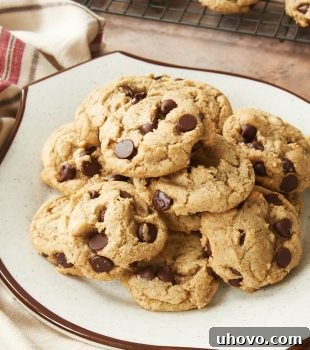 Rye Chocolate Chip Cookies on a white and brown plate, showcasing their rustic charm and deliciousness.