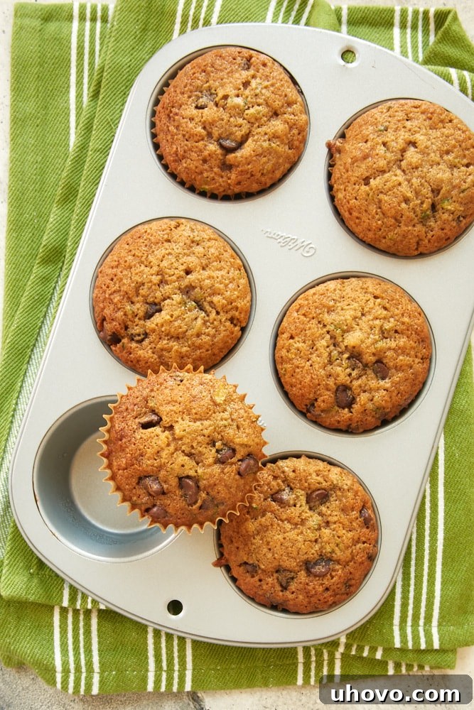 overhead view of Chocolate Chip Zucchini Muffins in a muffin pan