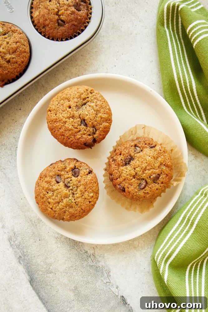 overhead view of Chocolate Chip Zucchini Muffins on a white plate