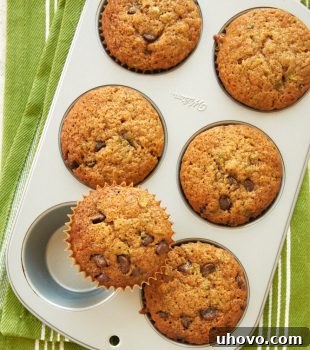 overhead view of Chocolate Chip Zucchini Muffins in a muffin pan