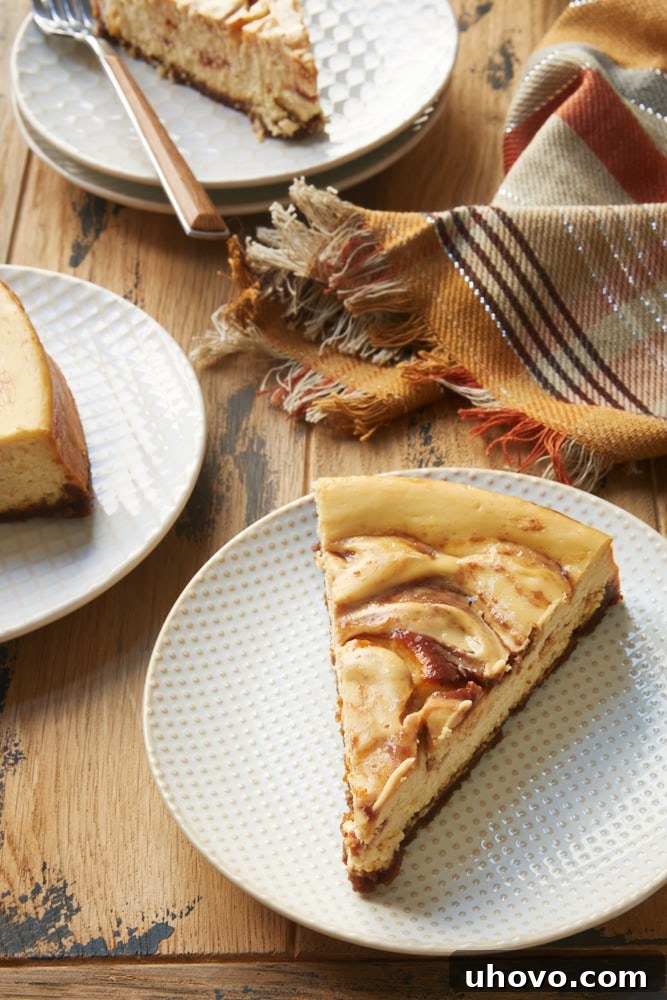 A close-up view of a slice of Apple Butter Cheesecake on a decorative white and beige plate, highlighting the enticing apple butter swirls and the perfect gingersnap crust texture.