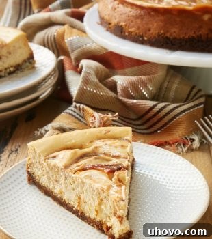 A beautiful slice of Apple Butter Cheesecake with a visible swirl, on a simple white plate, embodying a perfect fall dessert.