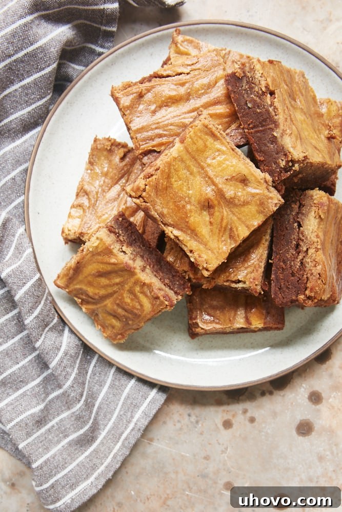Overhead view of several rich, fudgy Cookie Butter Cheesecake Brownies on a white and brown speckled plate, showcasing their beautiful marbled swirl.