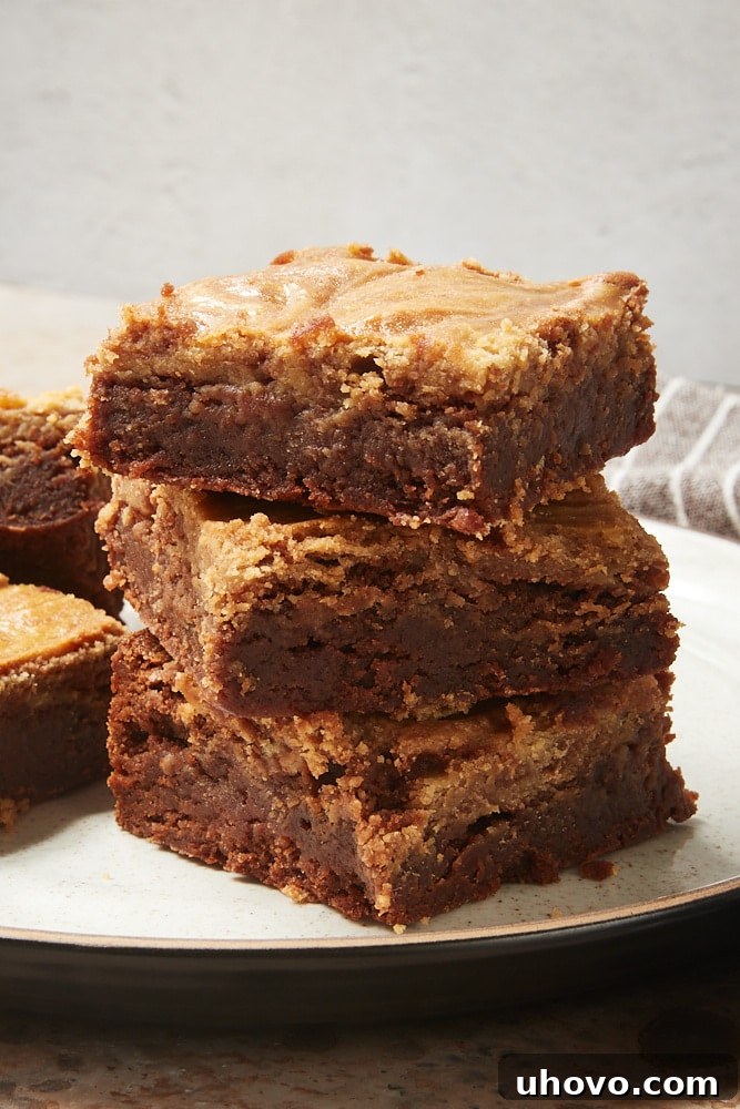 Stack of 3 rich, chewy Cookie Butter Cheesecake Brownies on a white and brown speckled plate, showing their thick, fudgy texture and cheesecake swirl.