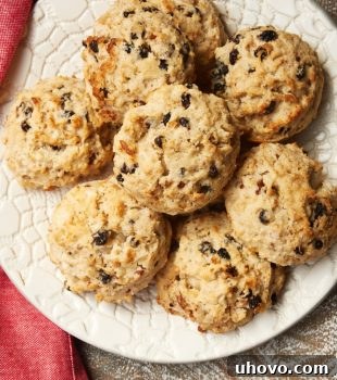 overhead view of Currant Oat Scones on a patterned white plate