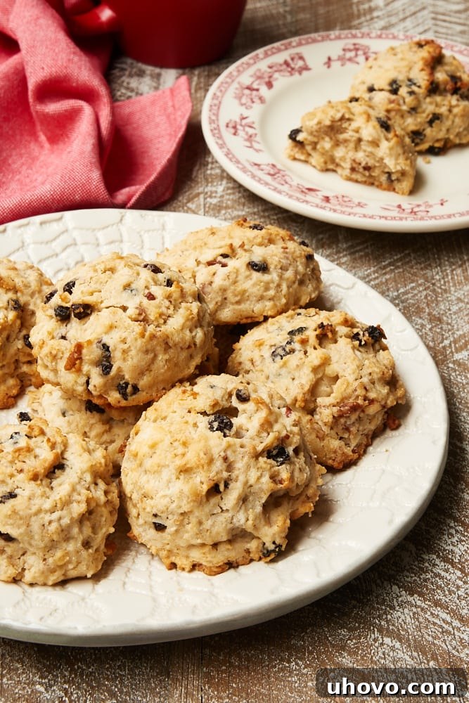 A pair of golden-brown Currant Oat Scones resting on a charming patterned white plate.