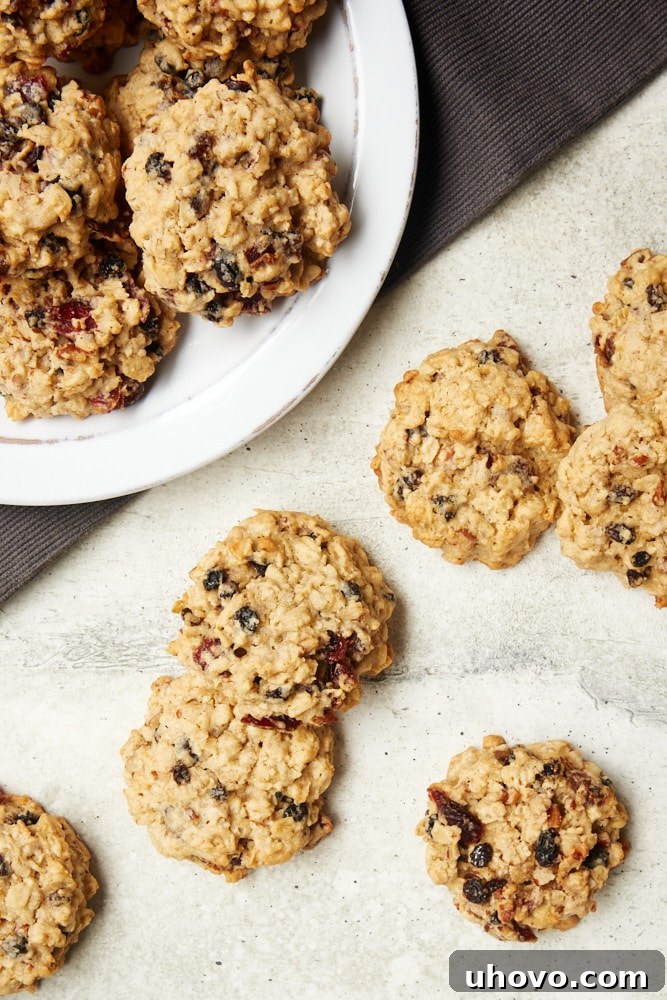 A close-up, overhead view of Winter Fruit Oatmeal Cookies resting on a textured gray surface, highlighting the vibrant colors of the dried fruits and oats.