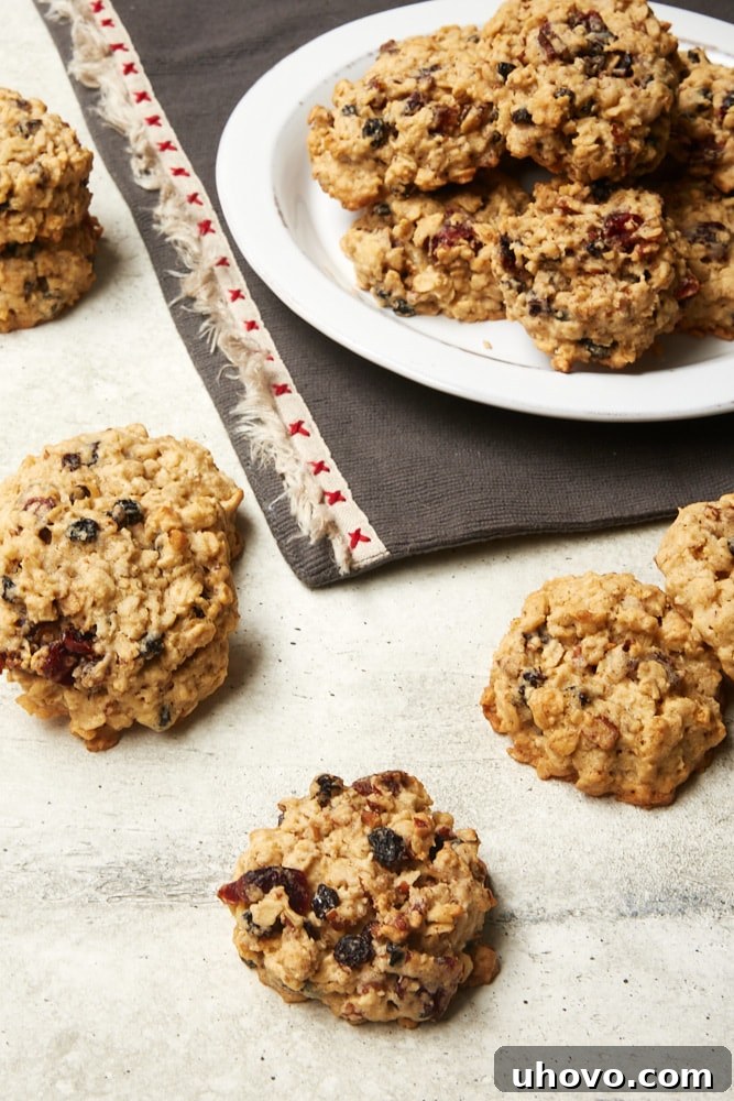 Three Winter Fruit Oatmeal Cookies arranged on a white plate, with a blurred background of more cookies on a gray baking surface.