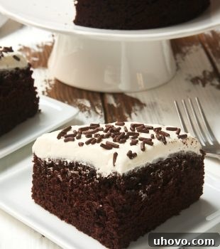 A beautiful slice of 6-Inch Chocolate Cake with Marshmallow Frosting on a square white plate, ready to be enjoyed.