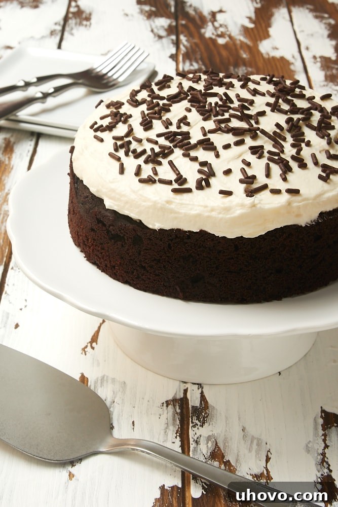 A beautifully frosted 6-Inch Chocolate Cake with Marshmallow Frosting displayed on a white cake stand, showcasing its fluffy topping.
