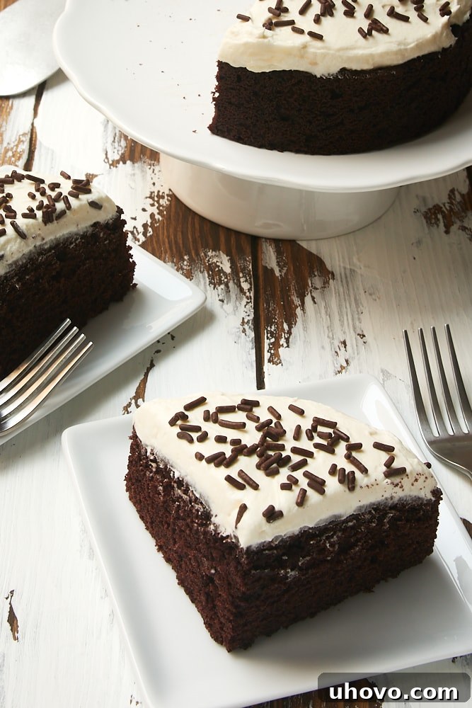 A close-up view of a slice of 6-inch chocolate cake with marshmallow frosting, showcasing its moist texture and creamy topping.