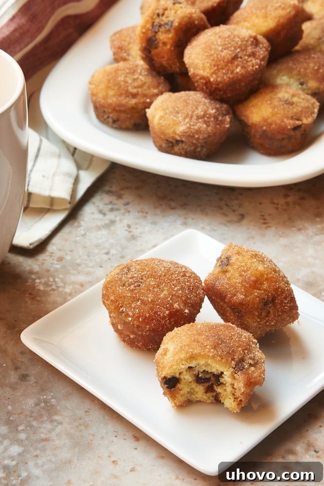 Several Mini Chocolate Chip Doughnut Muffins neatly arranged on a pristine square white plate, showcasing their inviting golden-brown tops and sweet cinnamon coating.