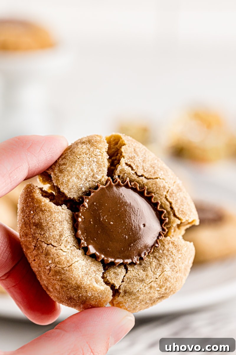 Hand holding peanut butter cup cookie